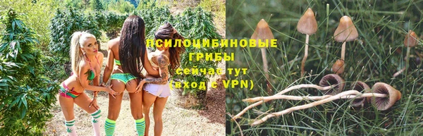 мдпв Киреевск