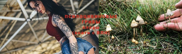 мдпв Киреевск