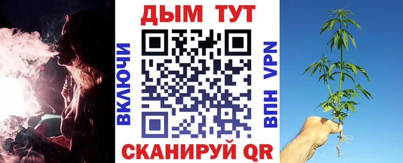 darknet телеграм  сколько стоит  Малаховка  Шишки марихуана гибрид 